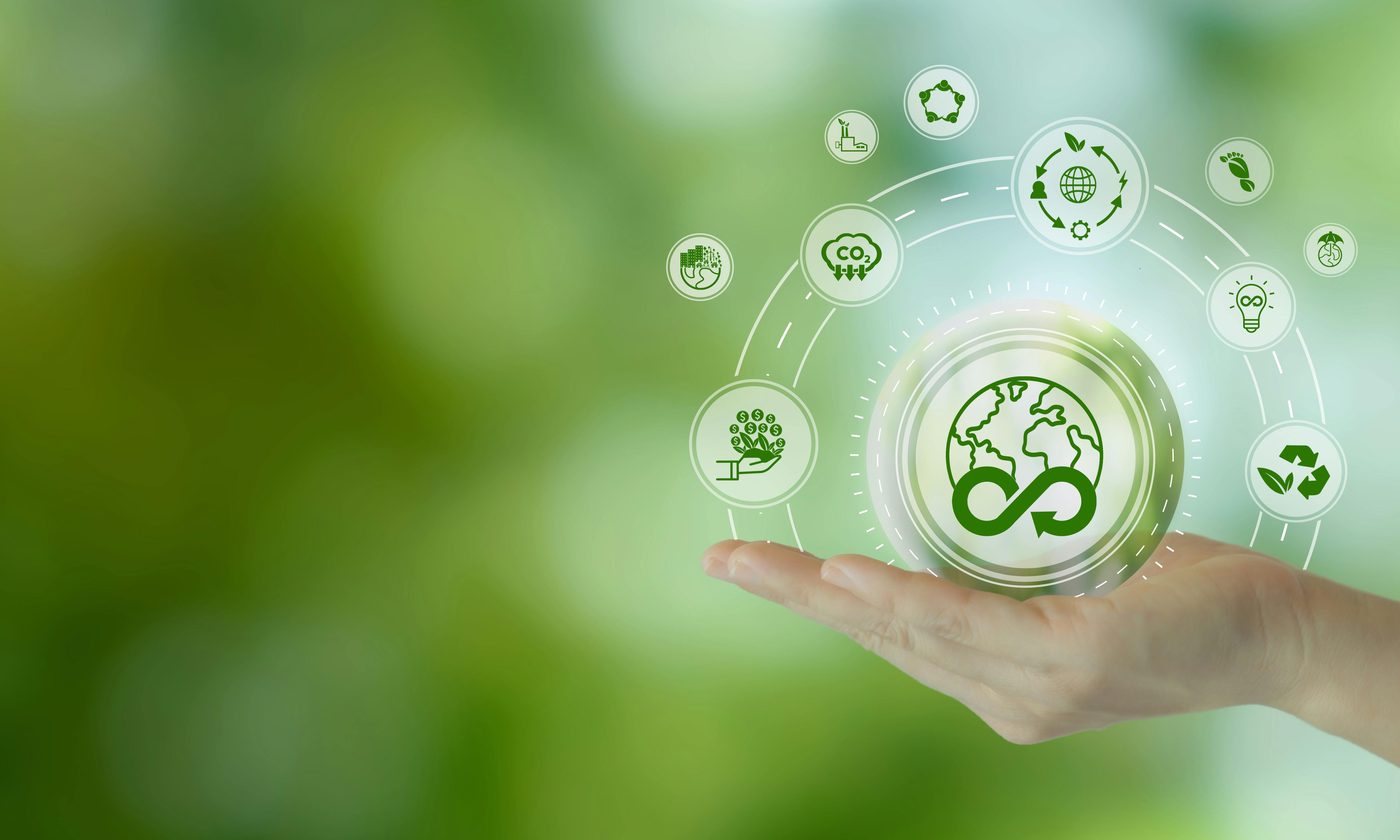 66e33790df75ab19ba0b450c Dreamstime Xxl 315460607