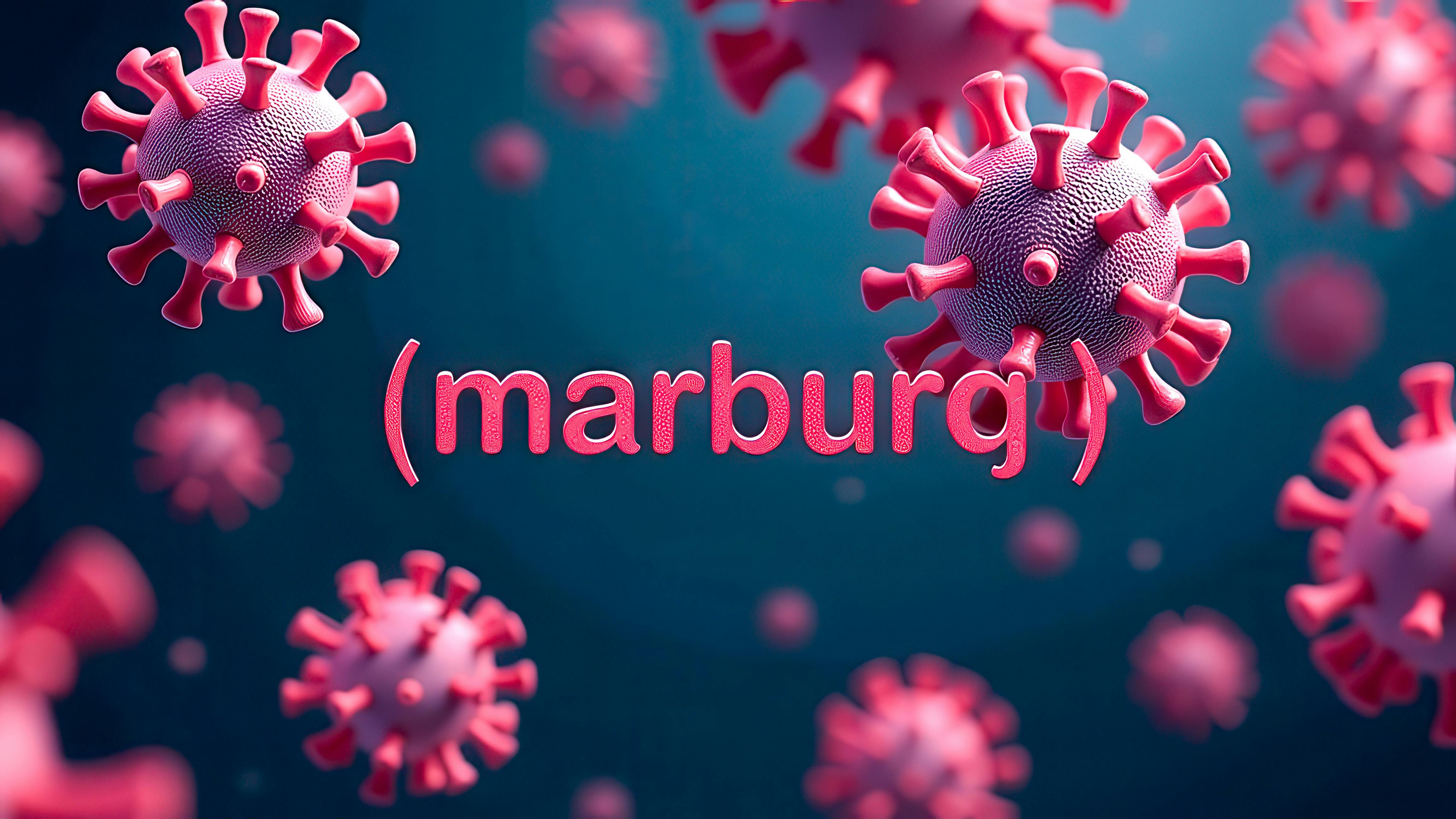 670568966adab91ce887c201 Dreamstime Xxl 339478847