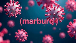 670568966adab91ce887c201 Dreamstime Xxl 339478847 670568966adab91ce887c201 Dreamstime Xxl 339478847