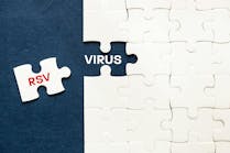 dreamstime_xxl_333862258 dreamstime_xxl_333862258