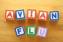 675717ba37dd4ace2bad1d2a Avian Flu 675717ba37dd4ace2bad1d2a Avian Flu