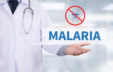 675b16f79d8939f6658dcd69 Malaria
