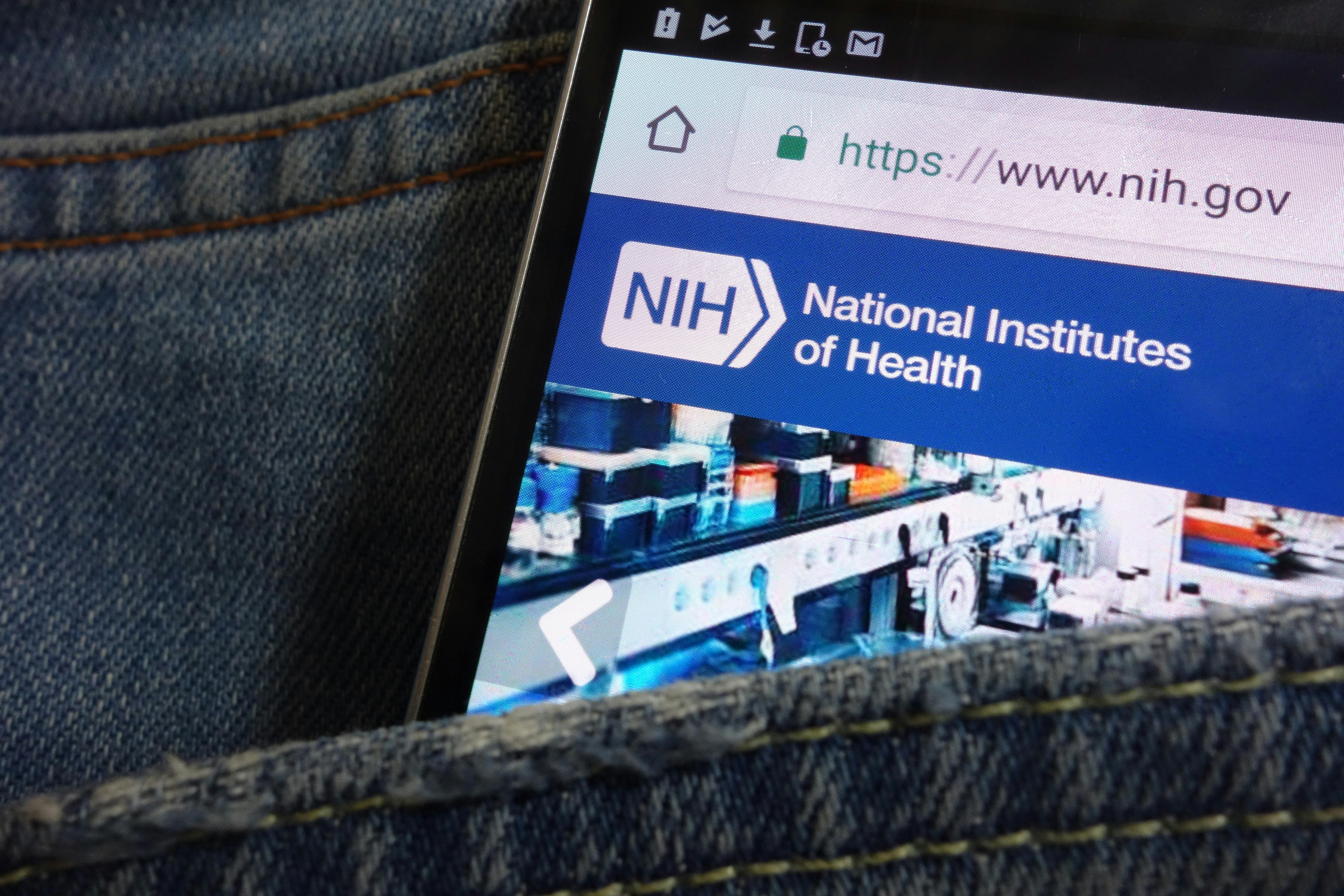 676070de9af97b193ba5641f Dreamstime Xxl 132285468