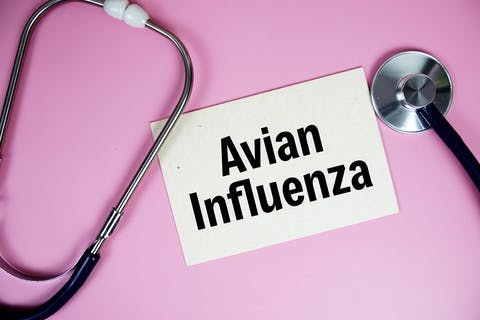 First Severe Human Case Of Avian Influenza In U.S. Reported In ...