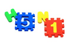 677ec8fd83a58a01df99ac42 Dreamstime Xxl 17024949 677ec8fd83a58a01df99ac42 Dreamstime Xxl 17024949