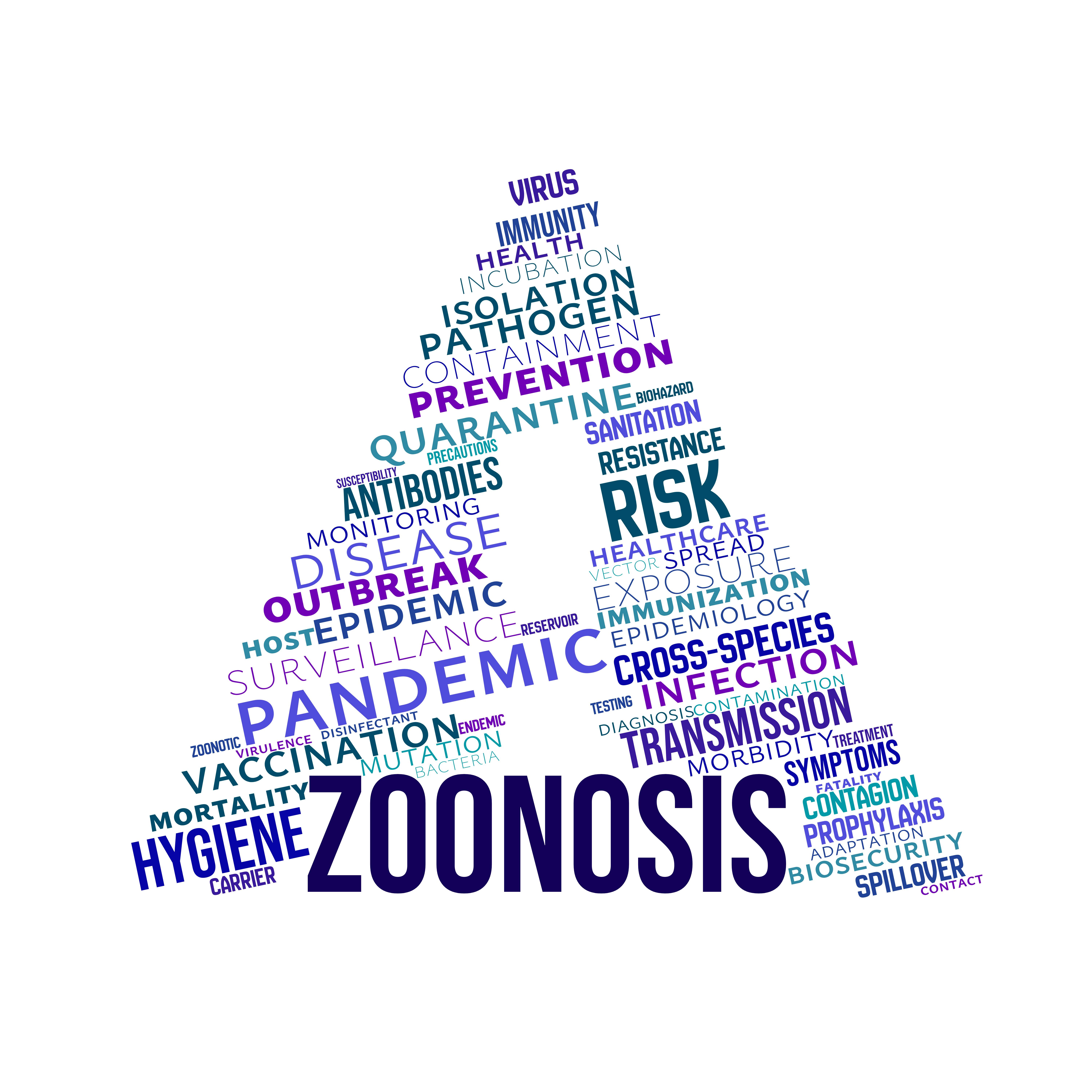 678574f60ae52ba89c593a4c Dreamstime Xxl 352380711