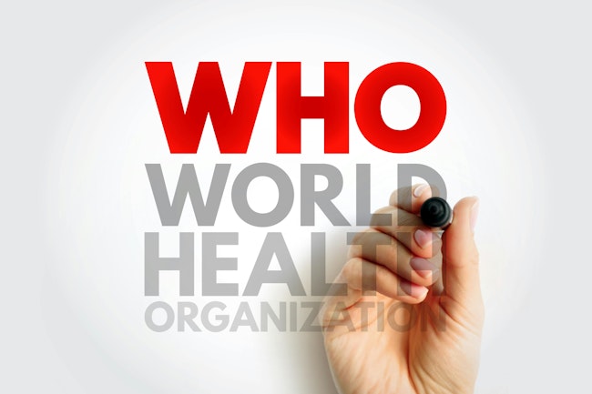 679133e2eea5e141d7d4b4bb Dreamstime Xxl 337855035