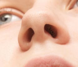 67dc53f9655e95aefd11396d Dreamstime Xxl 204551707 67dc53f9655e95aefd11396d Dreamstime Xxl 204551707