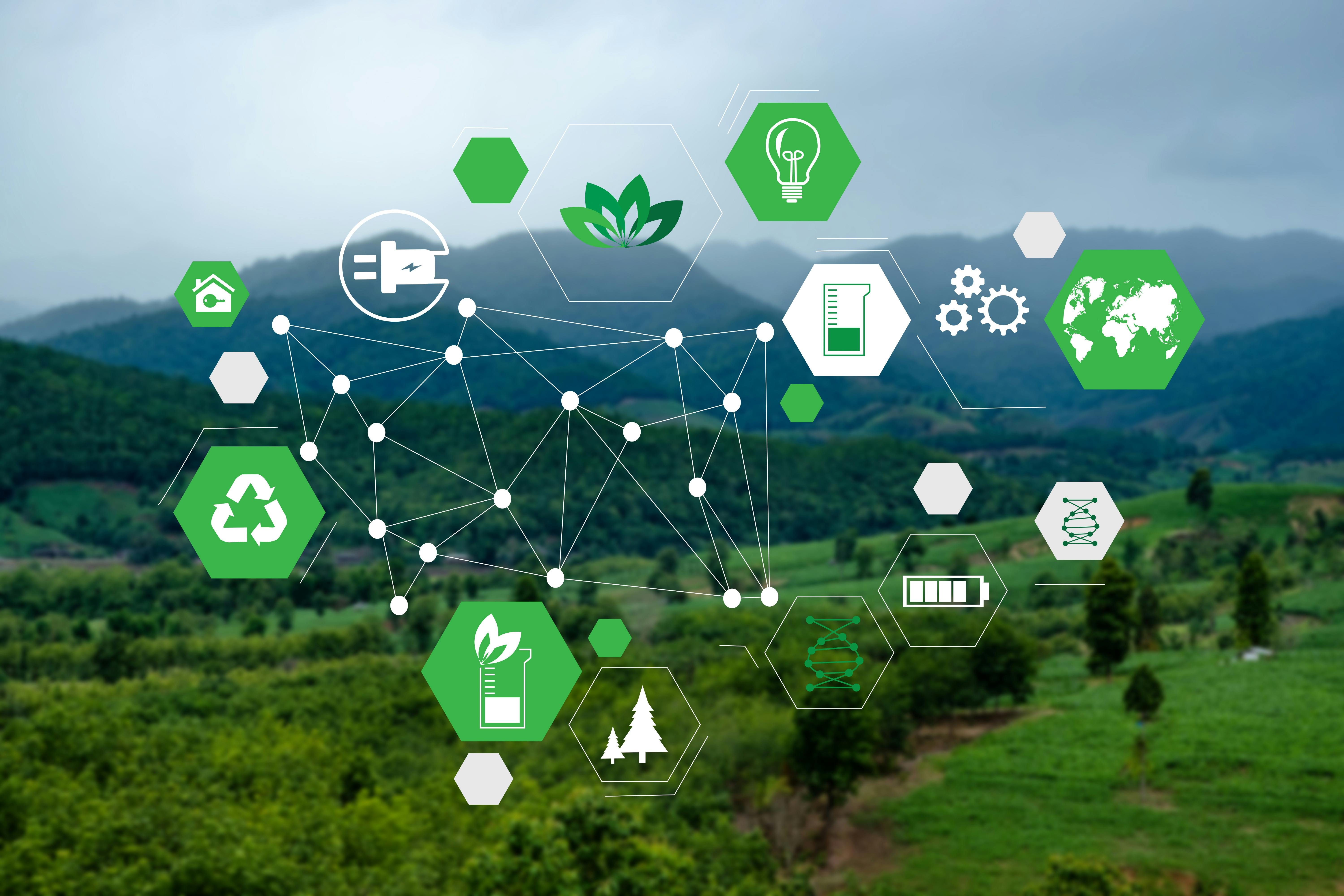 dreamstime_xxl_155564094