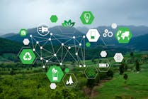 dreamstime_xxl_155564094 dreamstime_xxl_155564094