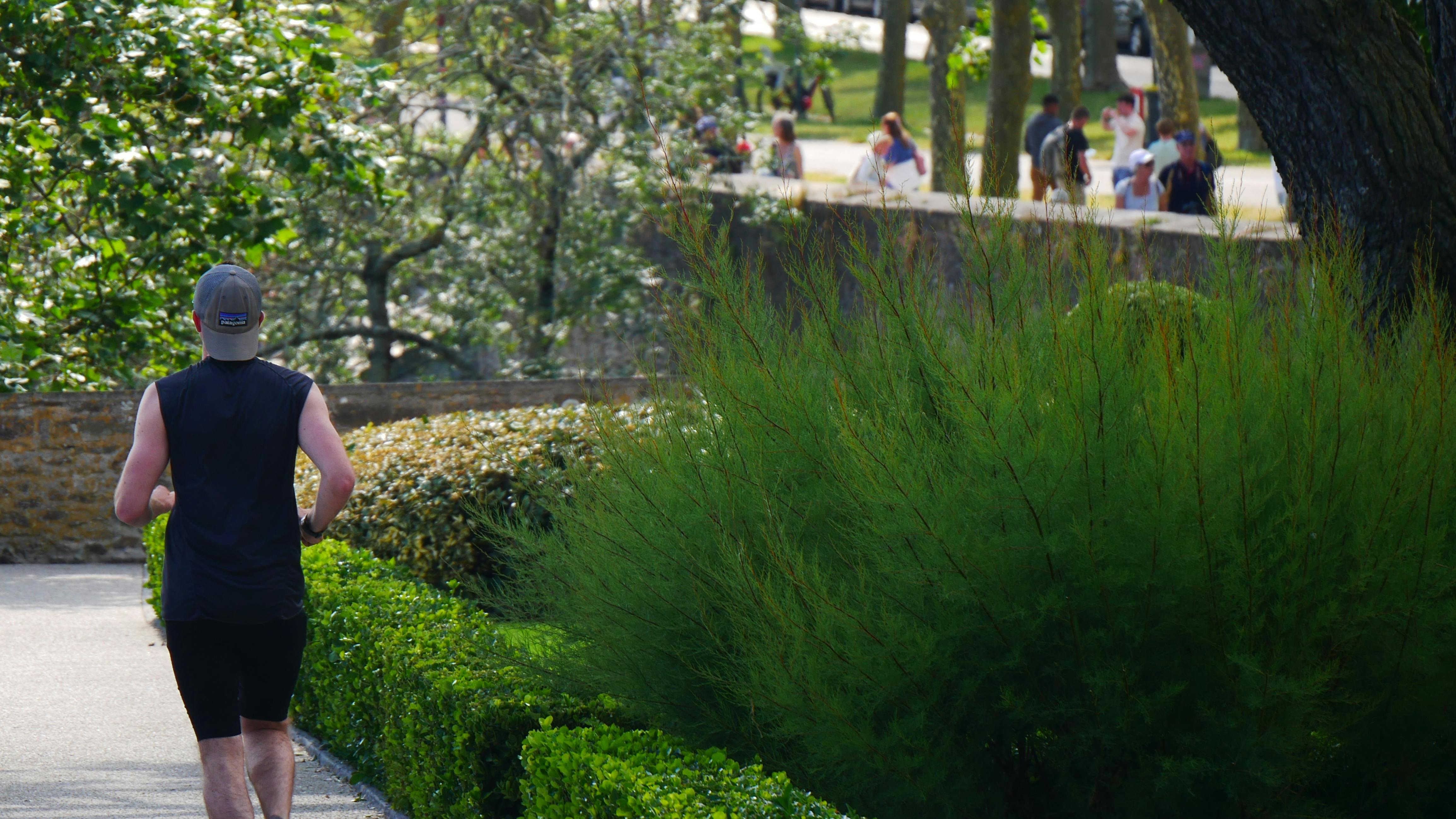 67e42f197deb2e91efd7149b Exercise