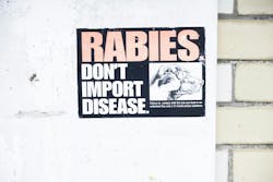 67e583ca21a14a216528aaeb Rabies 67e583ca21a14a216528aaeb Rabies