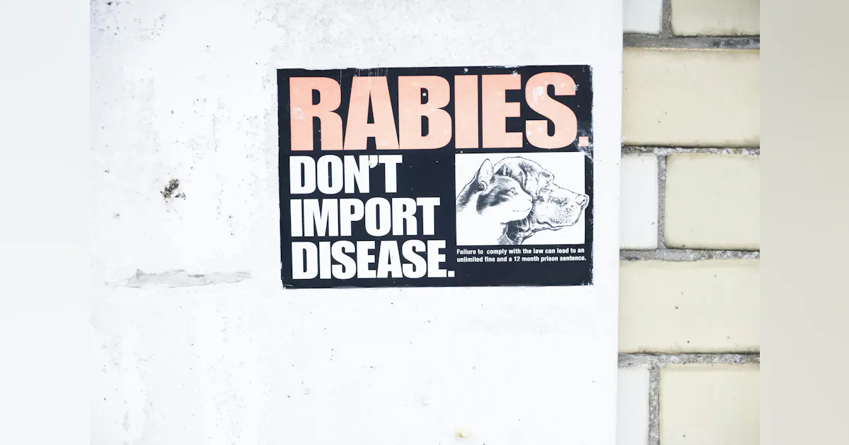 Michigan Hhs Rabies Michigan Resident Dies After Contracting Rabies From a Transplanted ...