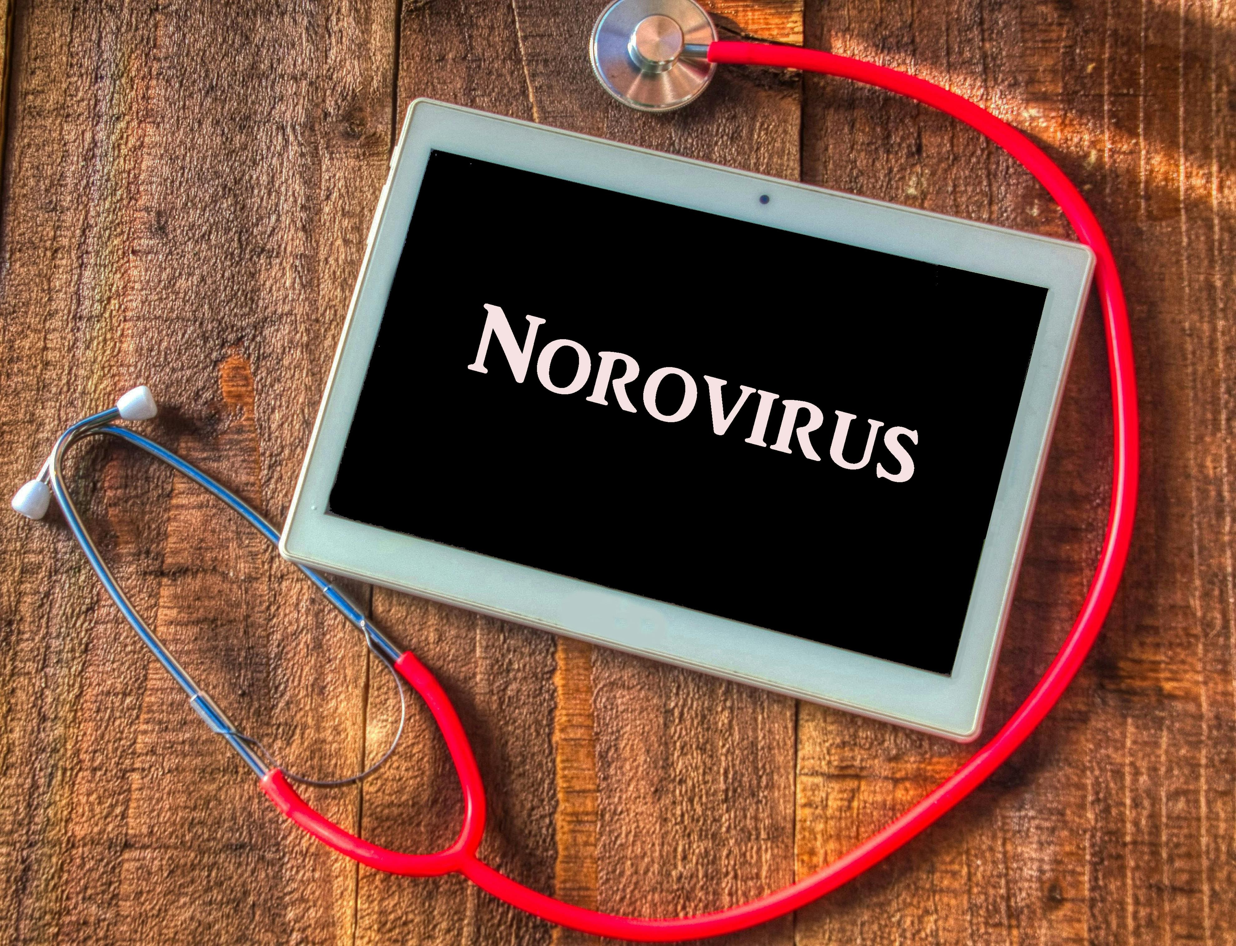 67eea7071c96678fc4963846 Norovirus
