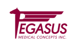 67f91877c1c4a13b40859b3a Pegasus2023