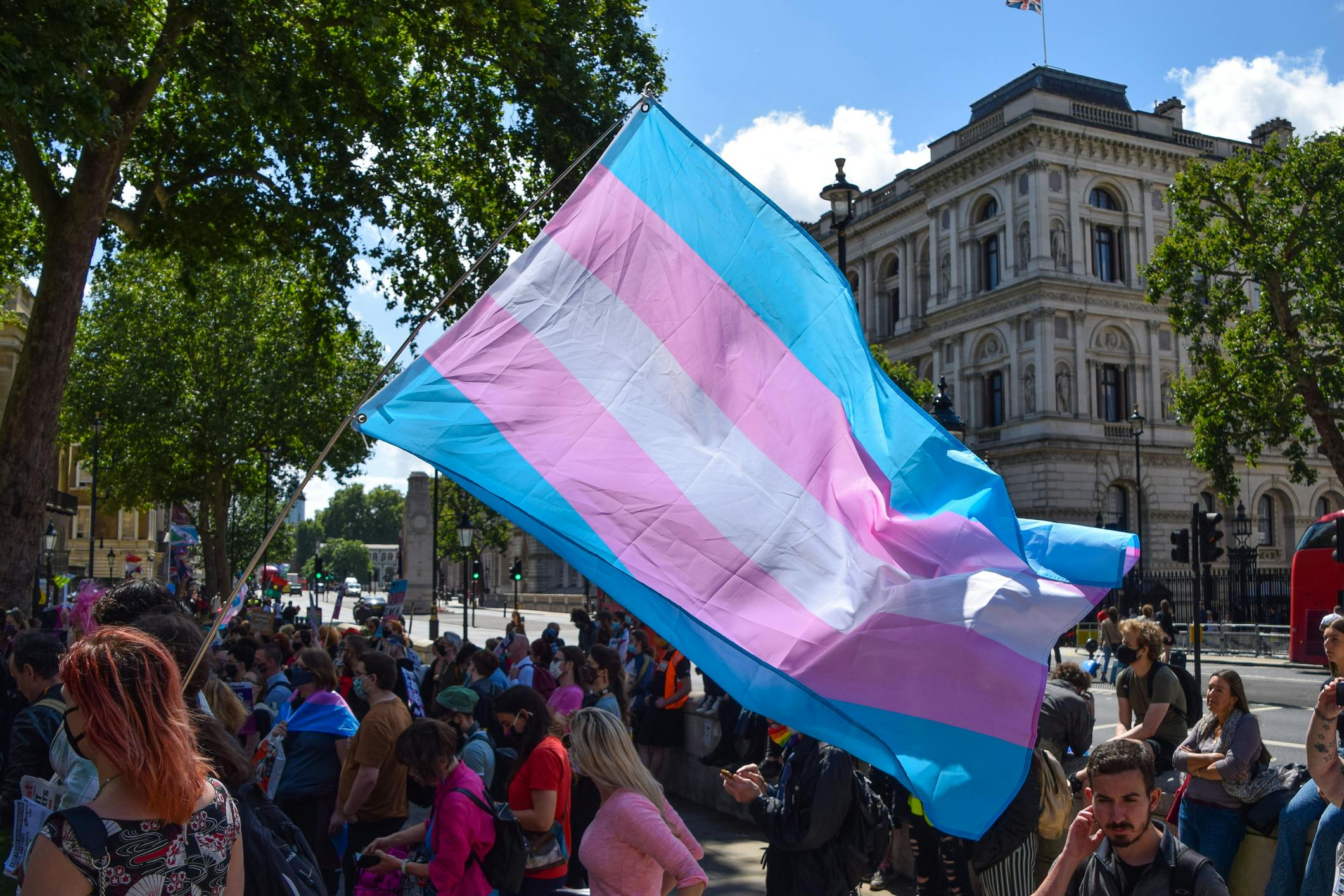 67ffde81047747a408d26633 Trans Flag