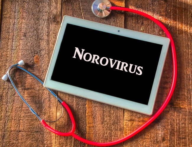 684322d73448bda1b83f26d6 Norovirus