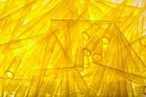 dreamstime_xl_30463526 dreamstime_xl_30463526