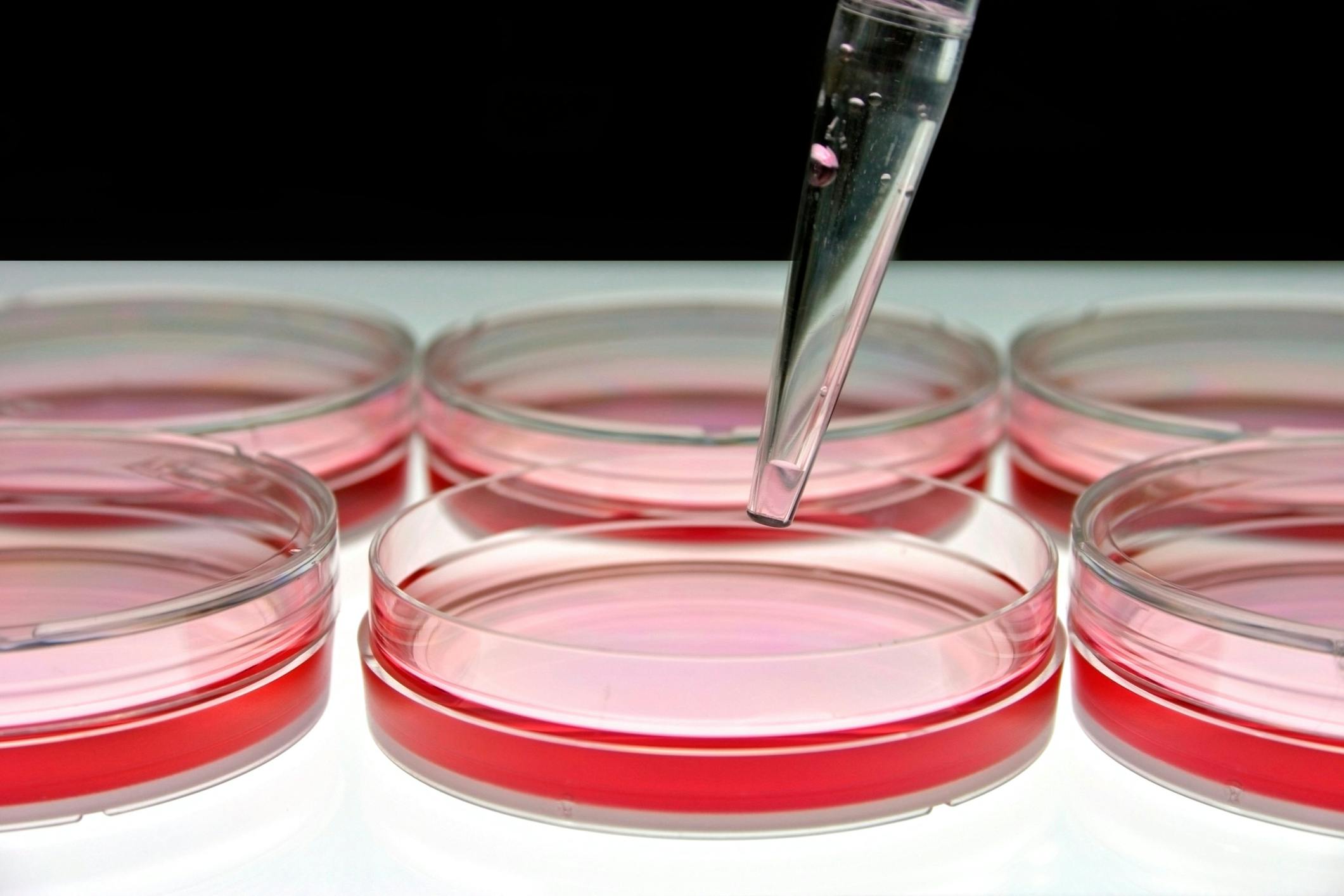68b9b14966f845456ec332a9 Culture Lab