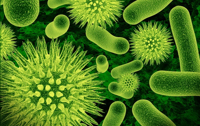 68d42616235d5394489a599e Bacteria