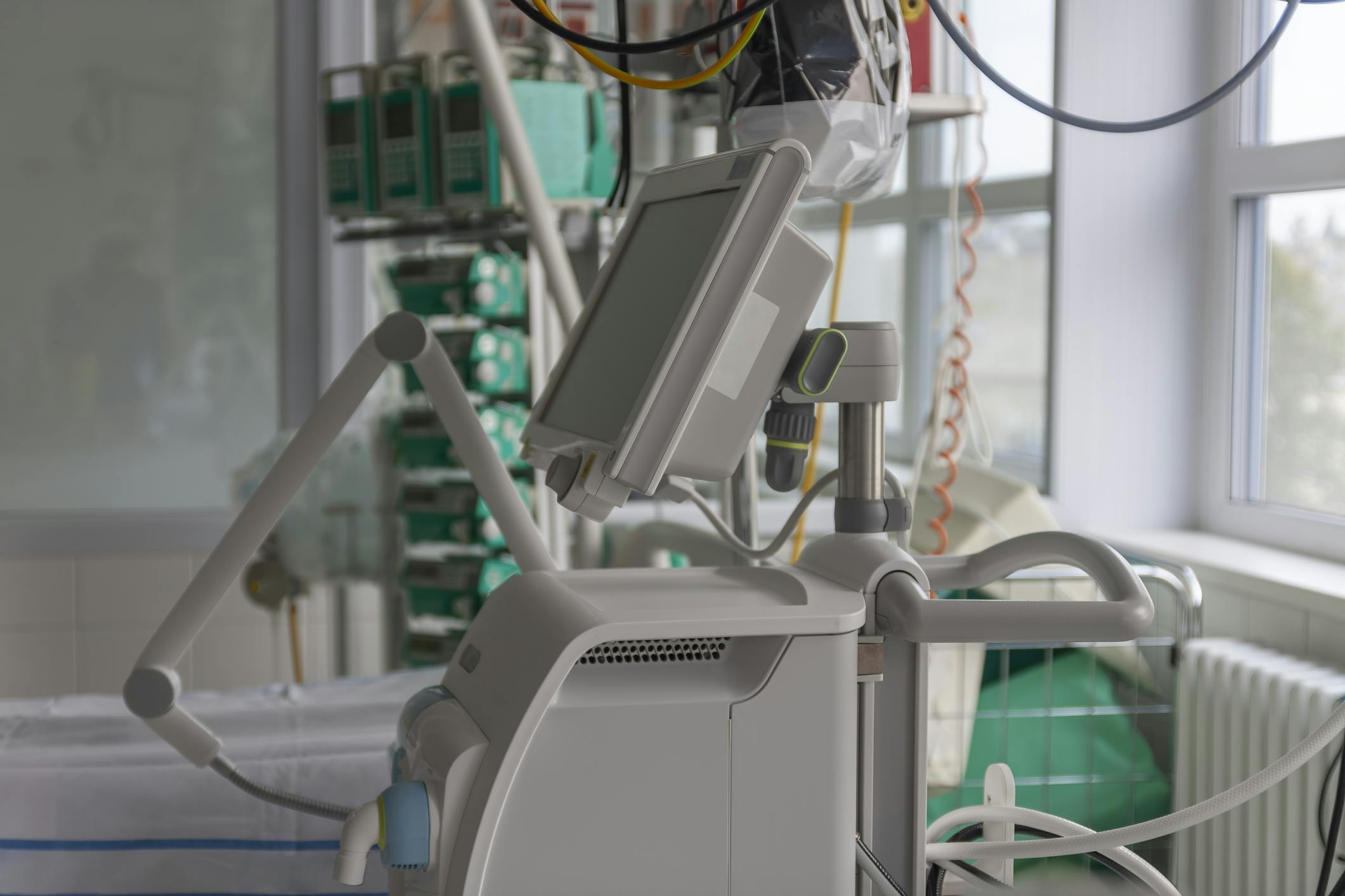 dreamstime_m_176619646