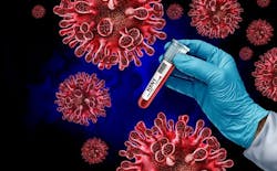 6904d70108a5ceafe9fceb5c H5n1 3 6904d70108a5ceafe9fceb5c H5n1 3