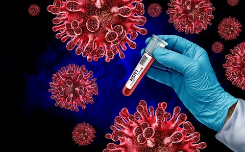 691b4f44bf8b4024070b3192 H5n1 3