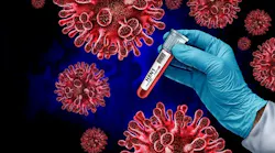 h5n1_3