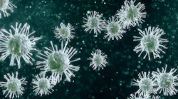 influenza_3