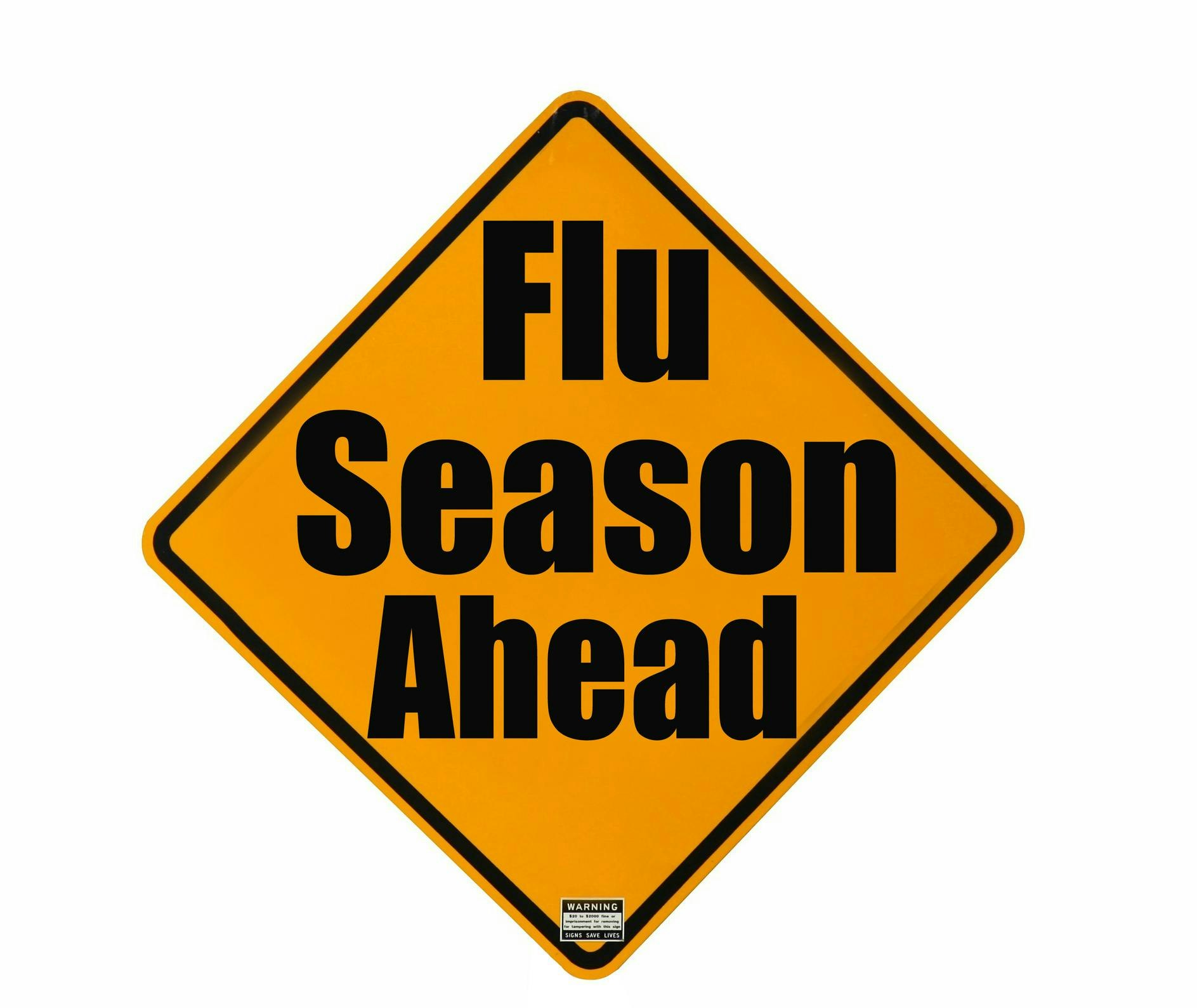 698113cd2a26bc5fc122f1cb Flu Season 2