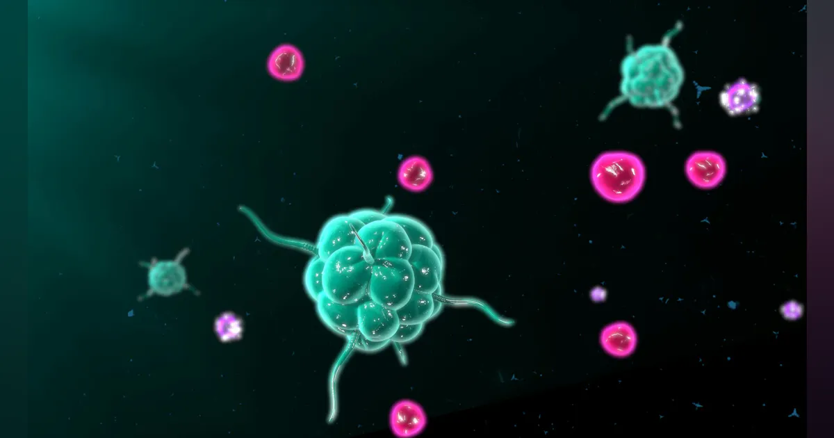 Baseimmune Study Makes New Discoveries of Macrophages and Immune Response | HPN Online