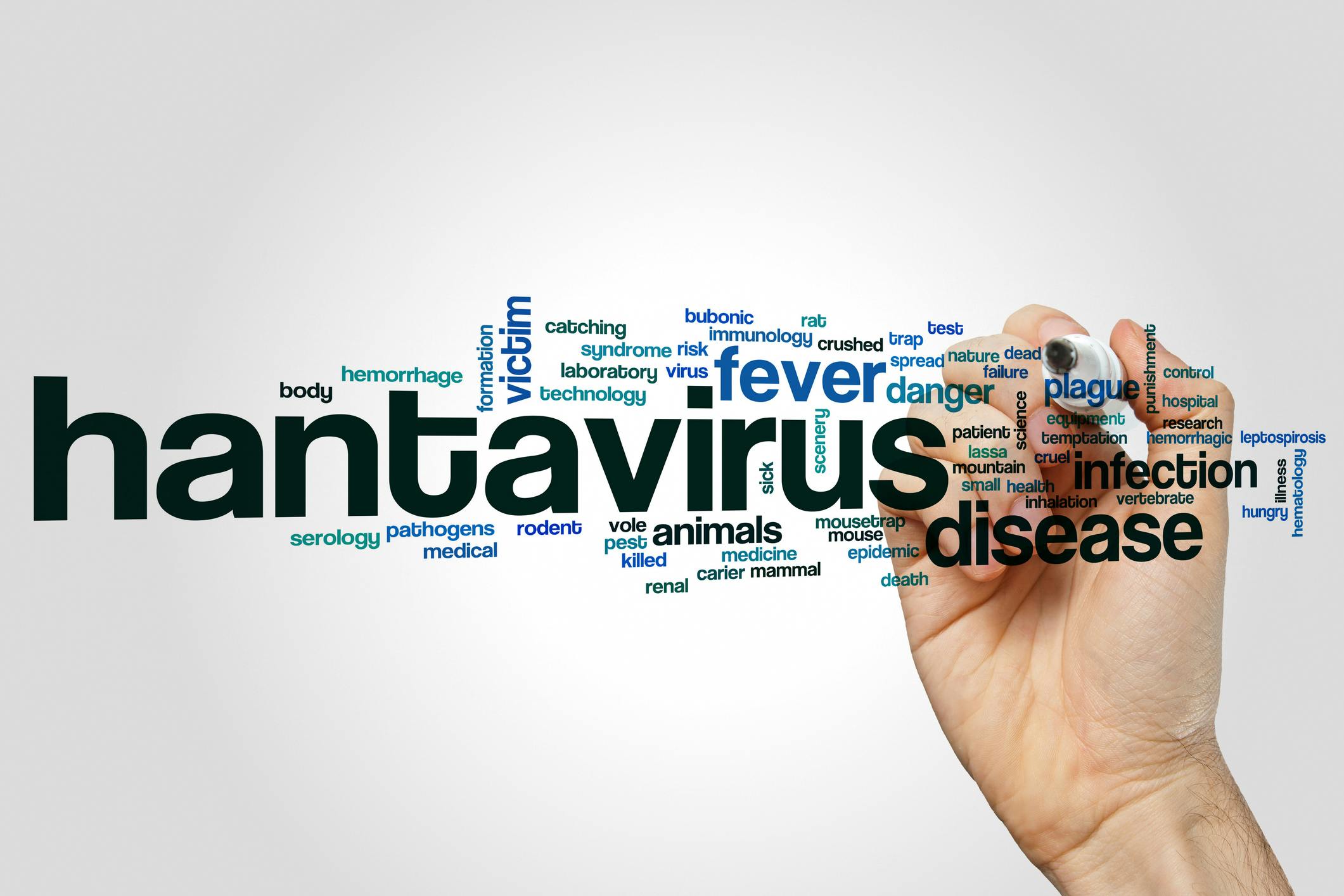 69fa2f7cf7f2f2d7b1b4da29 Hantavirus