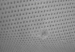 Figure 1. Hole/Tear in Wrap. Figure 1. Hole/Tear in Wrap.