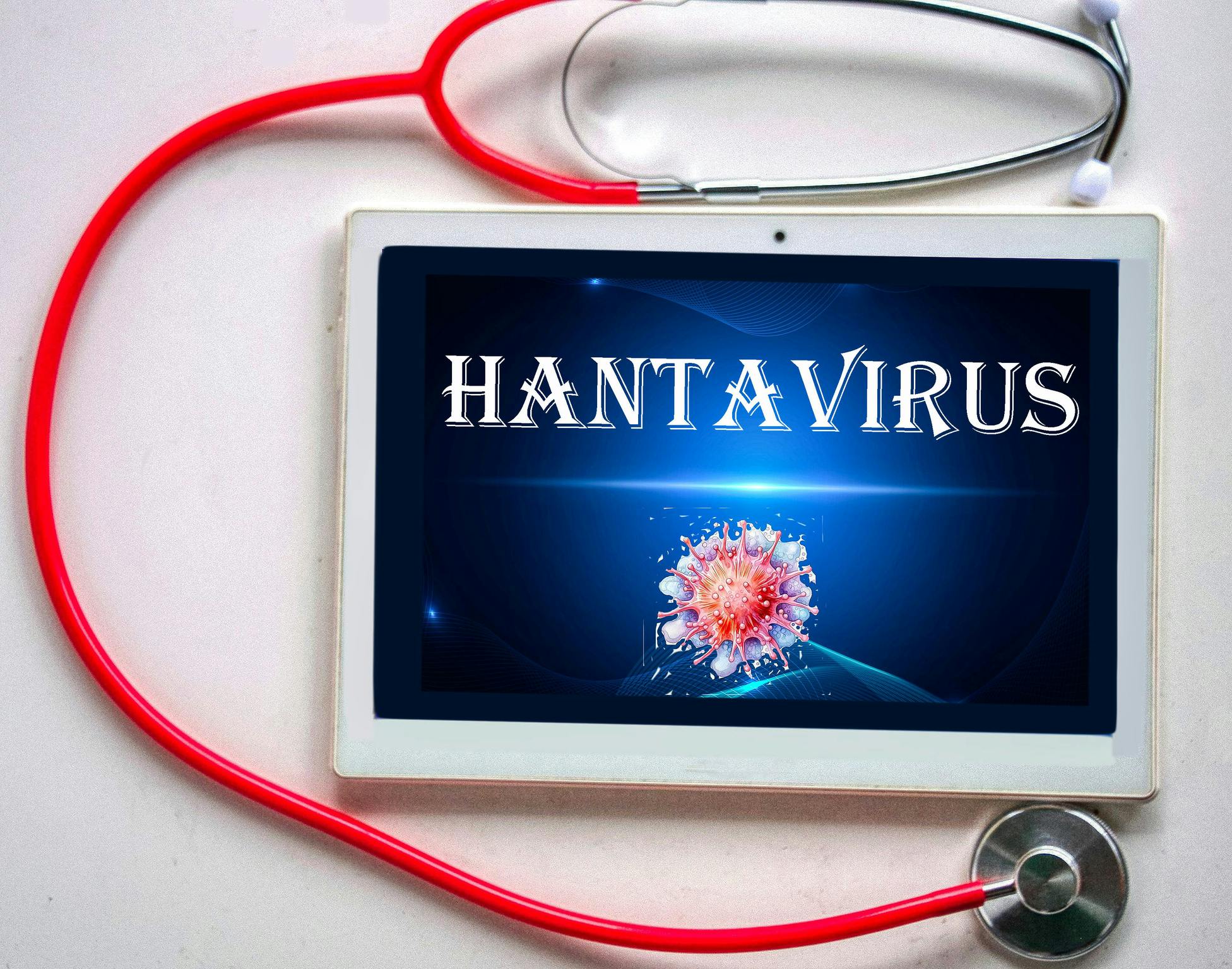 hantavirus_2
