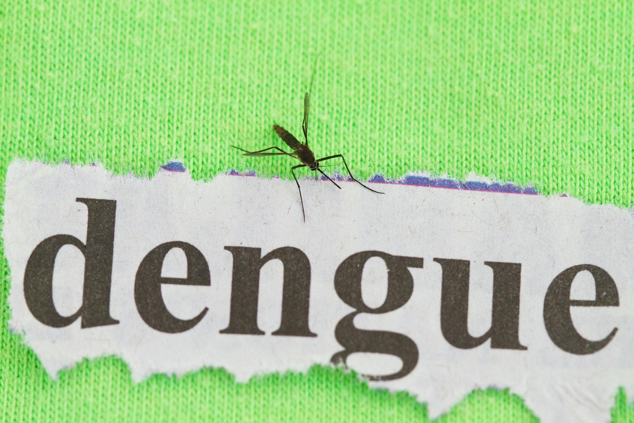 6a15c0233c9c4e34b19a35ef Dengue