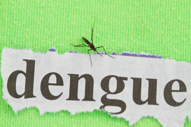 6a15c0233c9c4e34b19a35ef Dengue