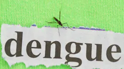 dengue