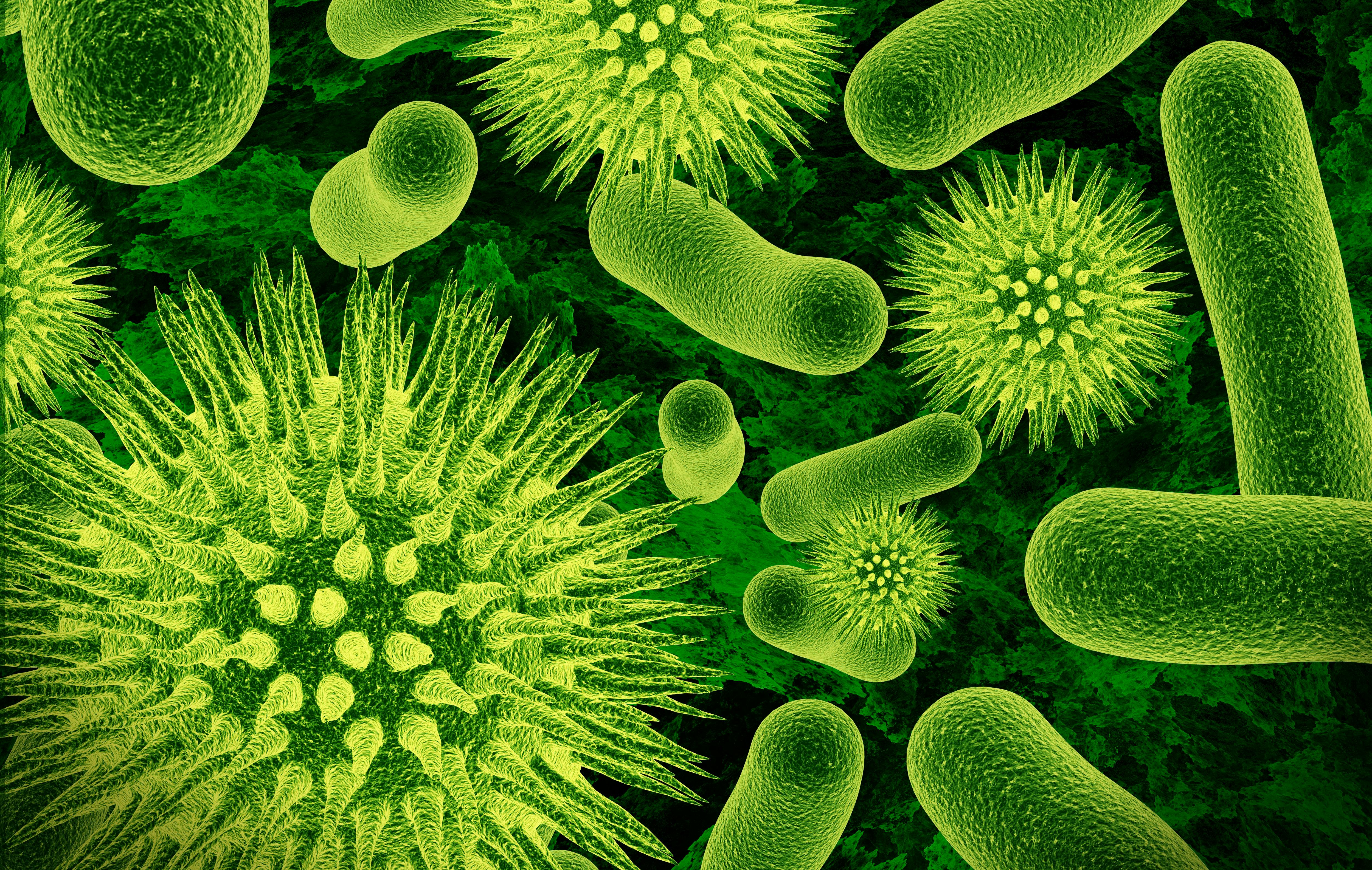 6a19be2c4f345901b63acaa1 Bacteria