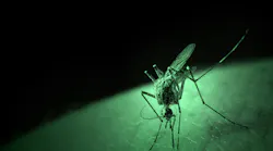 west_nile_virus