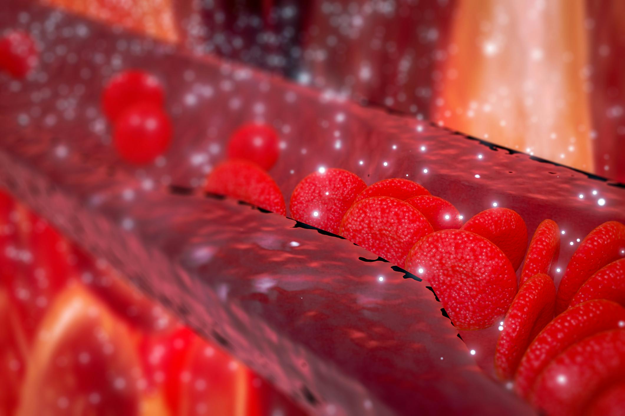 6a57dc95f1dbfcdf43c23829 Cholesterol