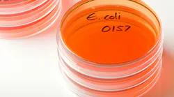 e_coli