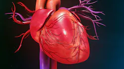 Human Heart