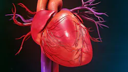 6a998c03ed224a5213369020 Heart