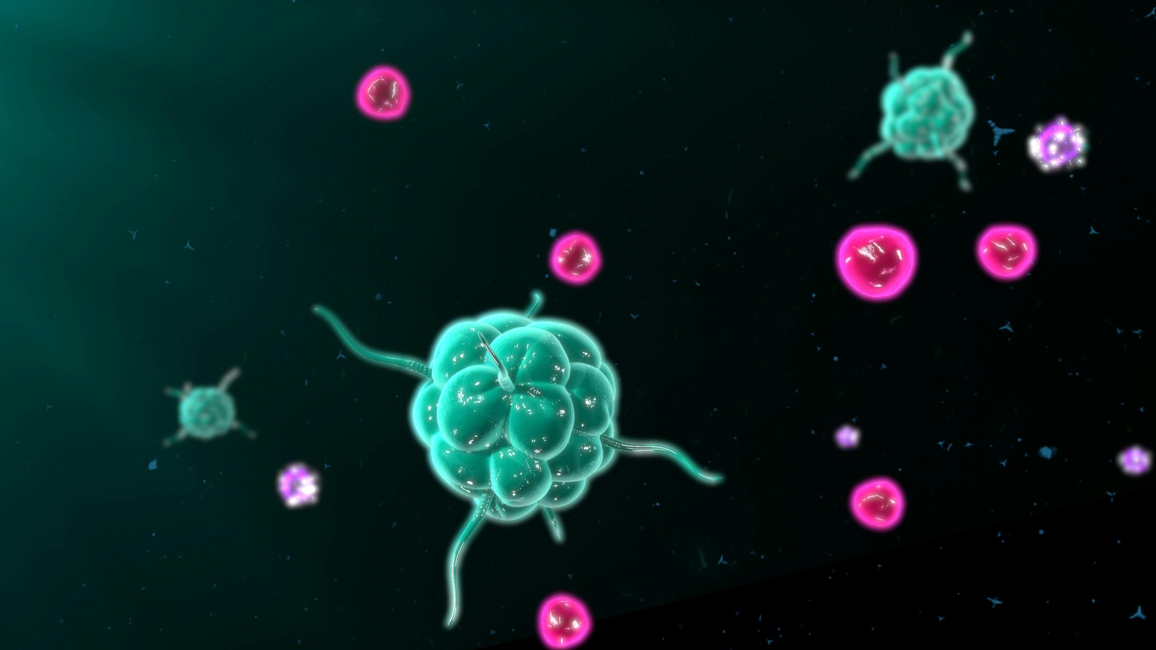 antibodies