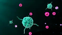 6a999aa2ddbe6301645af9ba Antibodies