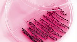 mrsa