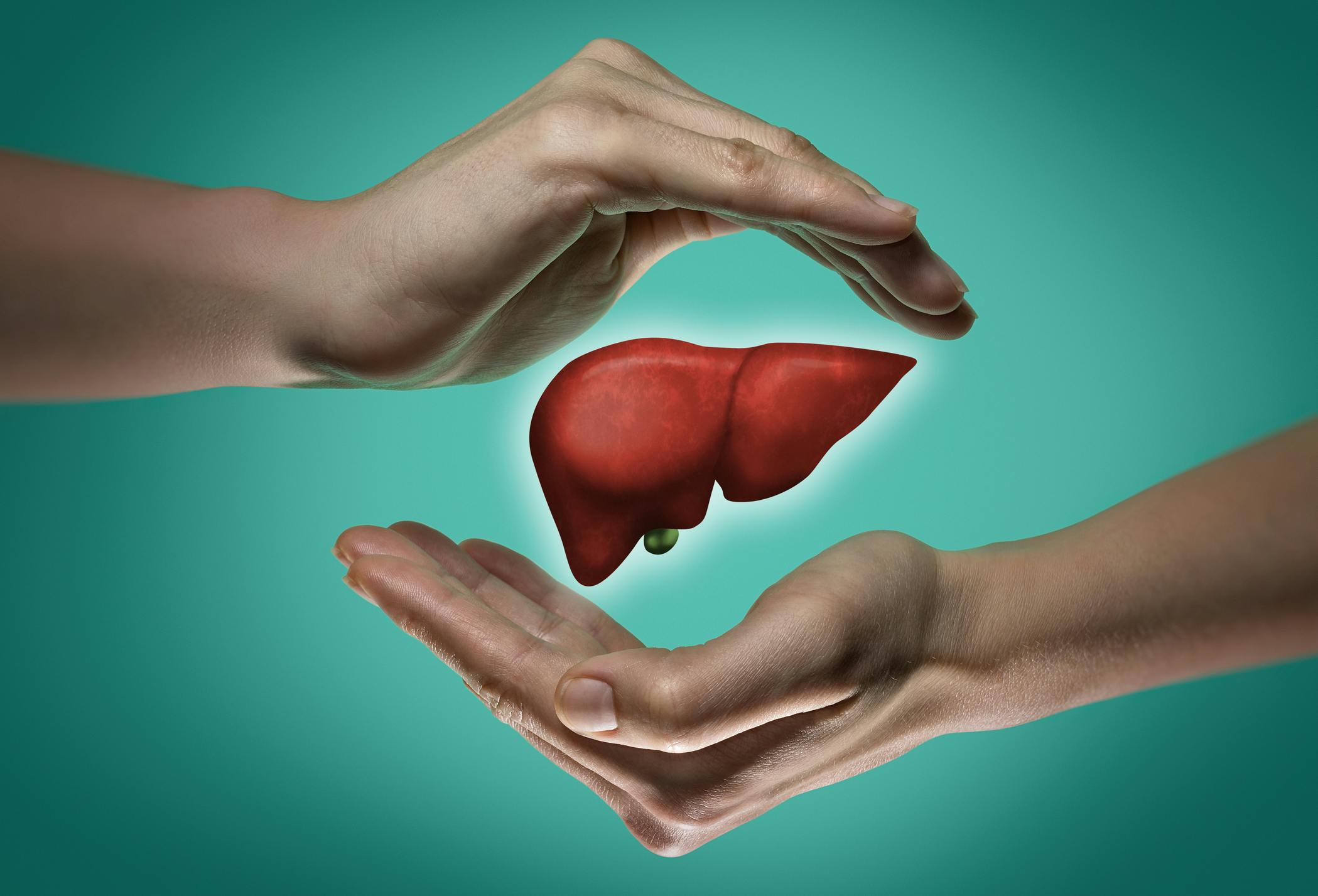 6ab412ff5c3737ef1d24e360 Liver Cancer